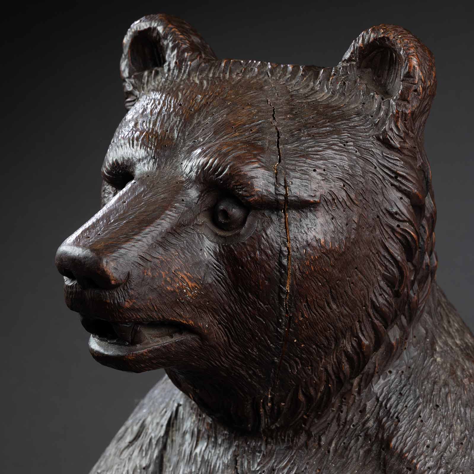 Grande sculpture d'ours en bois sculpté