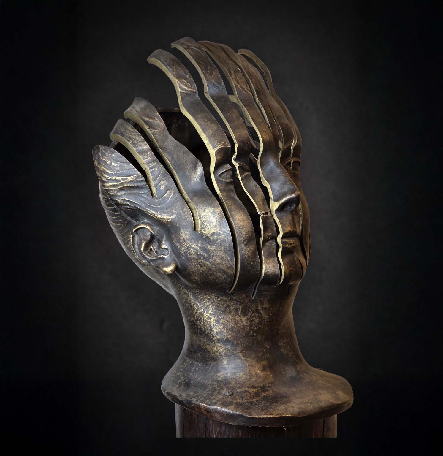 Buste en bronze signé René Hetzel